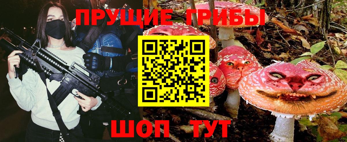 Псилоцибиновые грибы Psilocybe  Вход с VPN  что такое   Заречный 