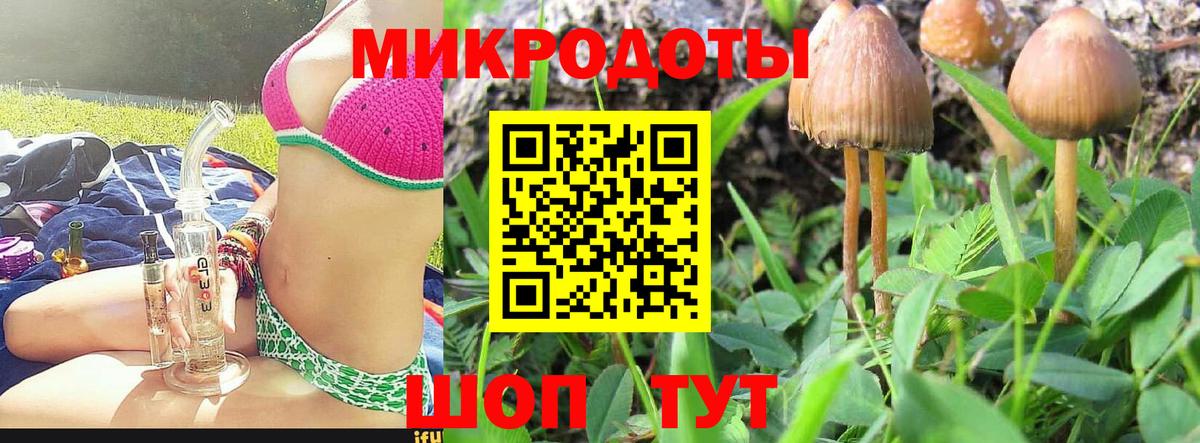 Галлюциногенные грибы мицелий Заречный